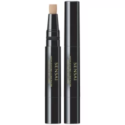 HIGHLIGHTING CONCEALER HIGHLIGHTING CONCEALER