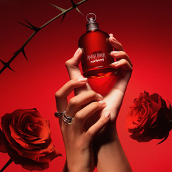 ESTUCHE AMOR AMOR 100ML ESTUCHE AMOR AMOR 100ML
